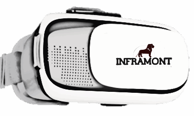 LENTES VR